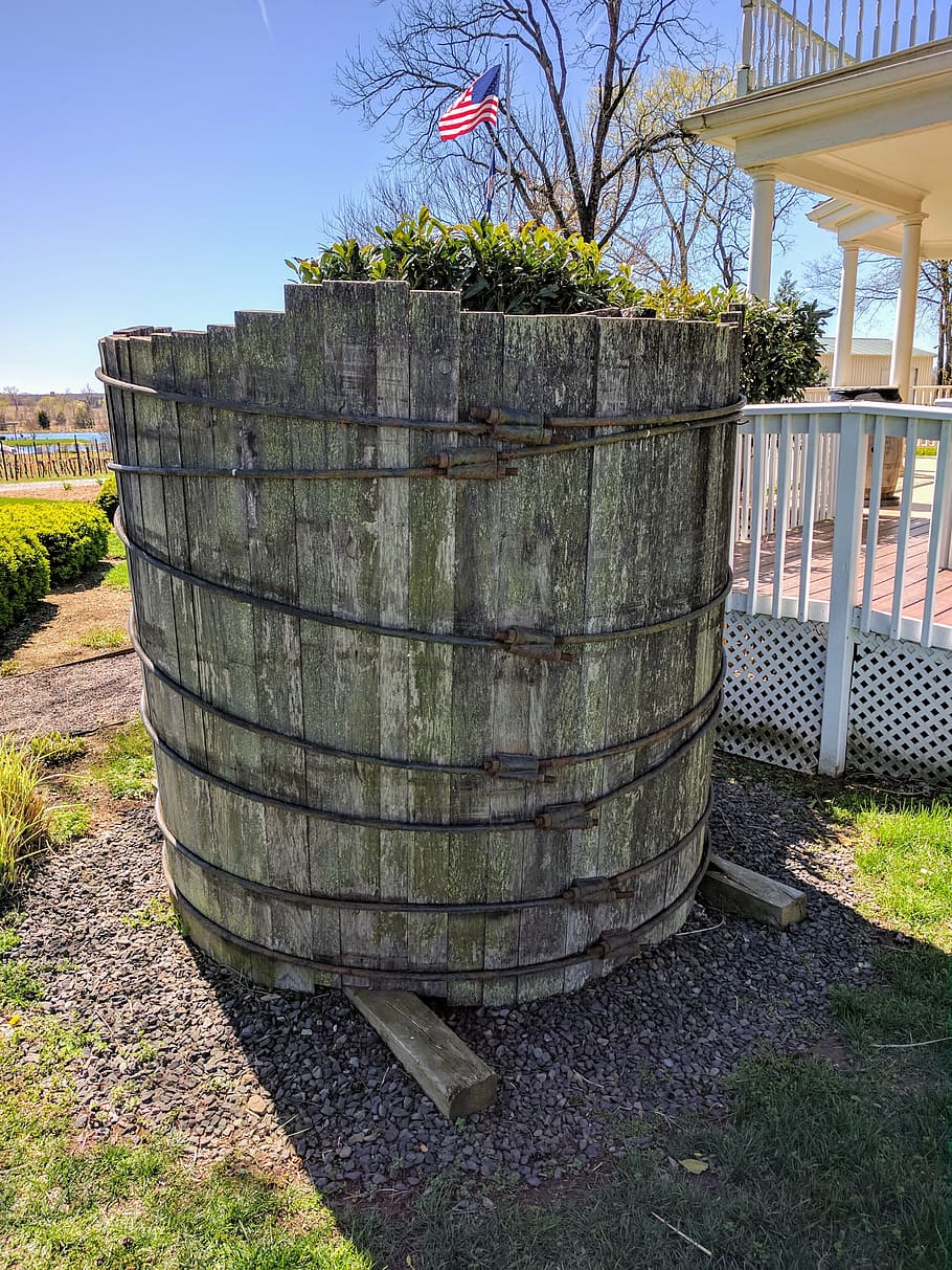 grape press, wine, winery, grapes, vineyard, plant, day, nature HD wallpaper