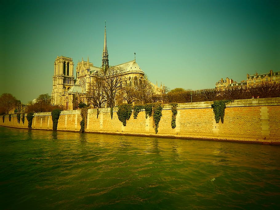 notre dame, cathedral, its, river, paris, dom, münster, church HD wallpaper