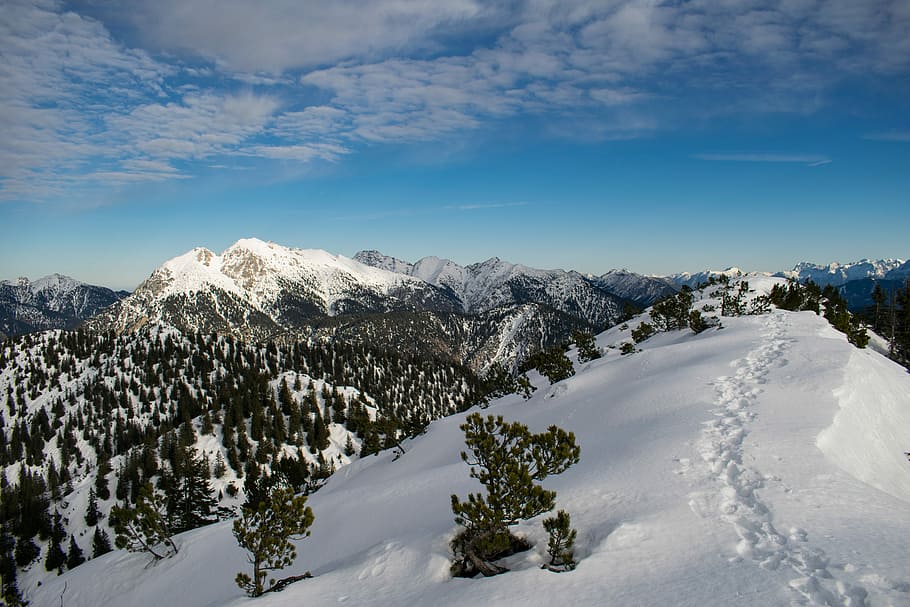 pine trees surrounded with snow, landscape photography of snowy mountain under cloudy sky, HD wallpaper