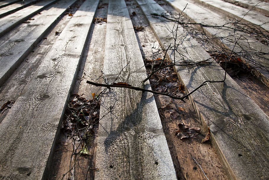 wood, leaf, fall, wood - material, high angle view, day, no people HD wallpaper