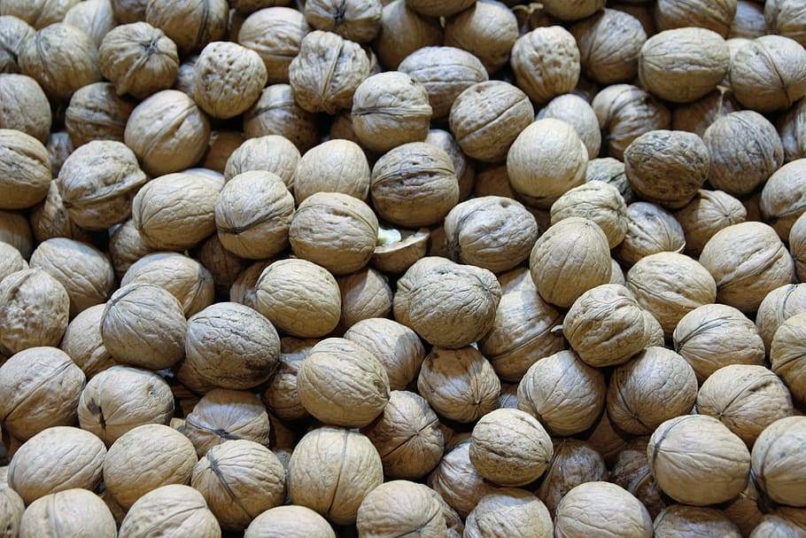 walnuts, macro, close, seedling, eat, food, brown, fruit bowl HD wallpaper