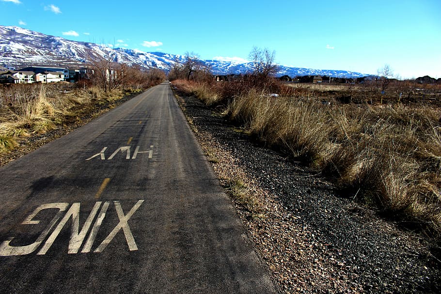 bike path, field, outdoor, active, ride, biking, sunny, nature HD wallpaper