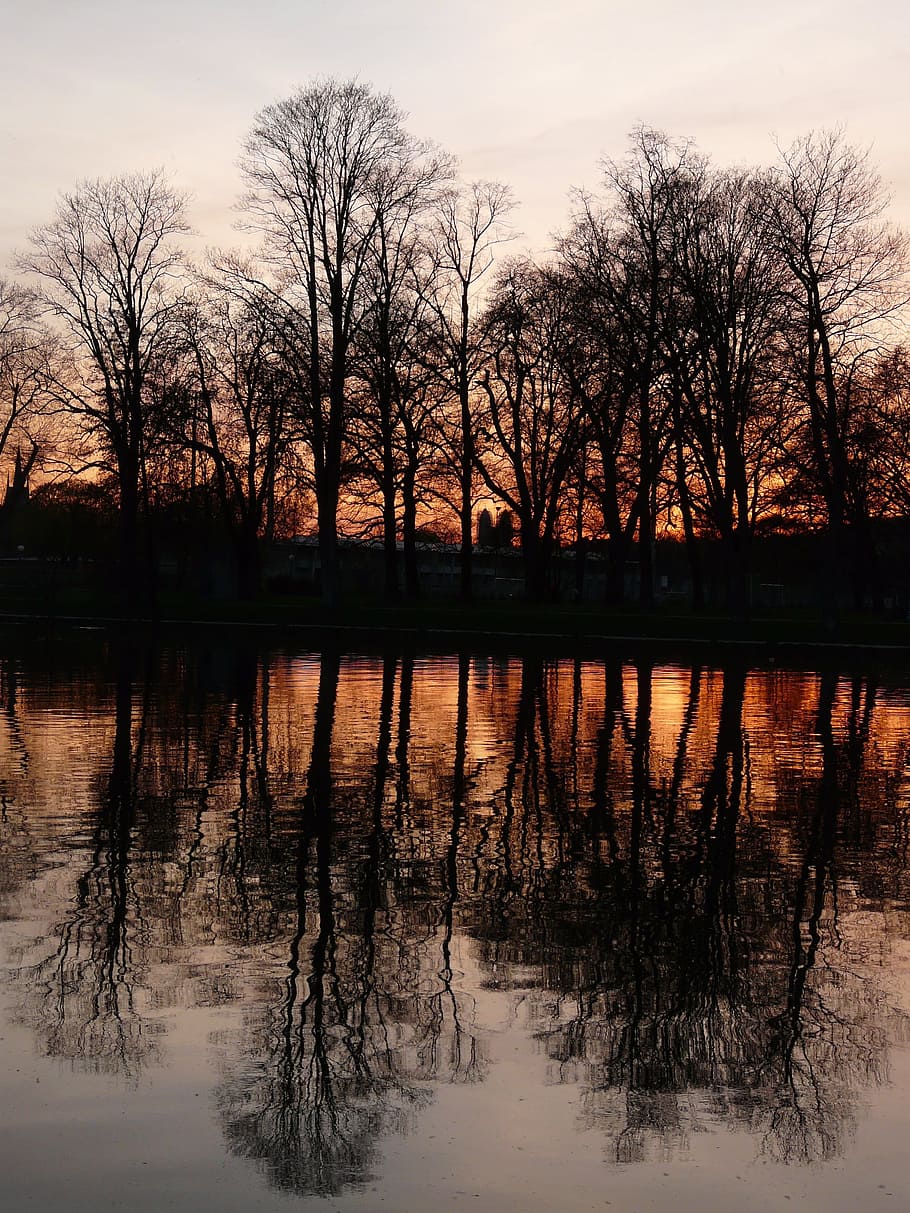 River, Trees, Water, abendstimmung, sunset, mirroring, romance HD wallpaper