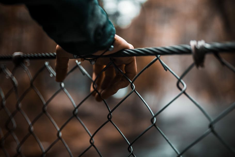 person touching fence, wire, hand, holding, blurry, barrier HD wallpaper