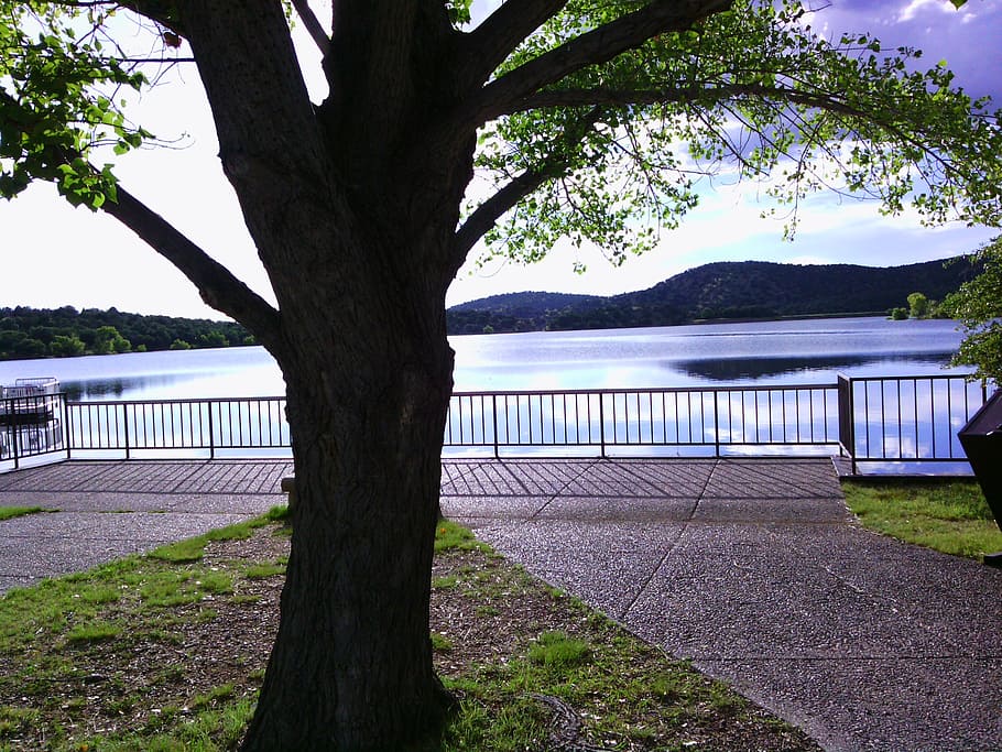 tree, lake, water, park, peaceful, arizona, plant, tranquility HD wallpaper