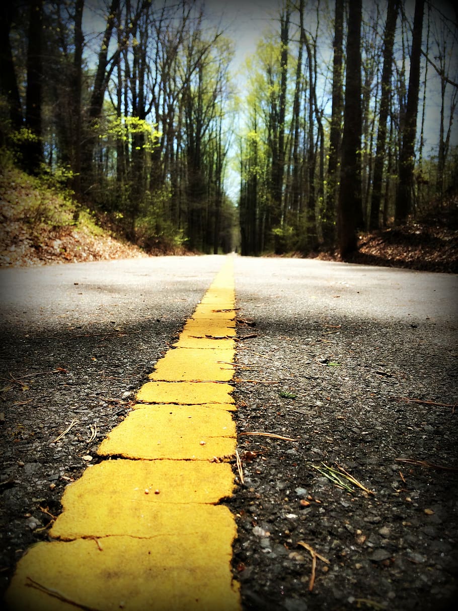 walking, path, trail, nature, outdoors, adventure, landscape HD wallpaper