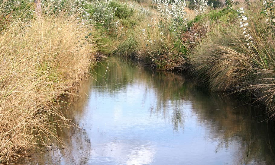river, country, reflection, natural grass, landscape, nature HD wallpaper