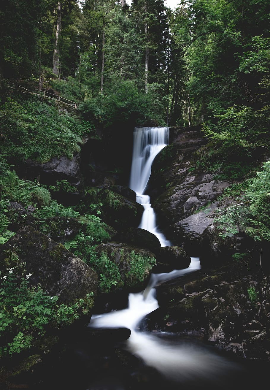 time lapse photography of river in woods, time lapse photography of waterfalls HD wallpaper