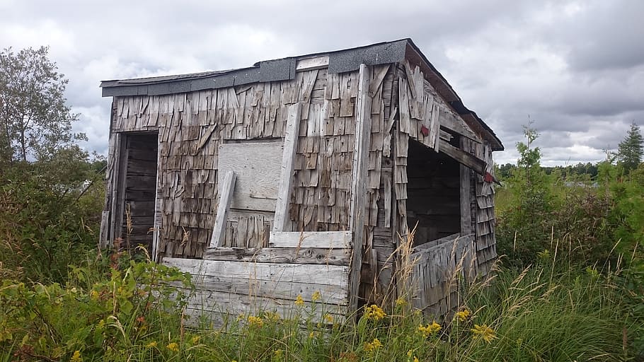 hut, leave, old, broken, decay, ruin, log cabin, usa, canada HD wallpaper