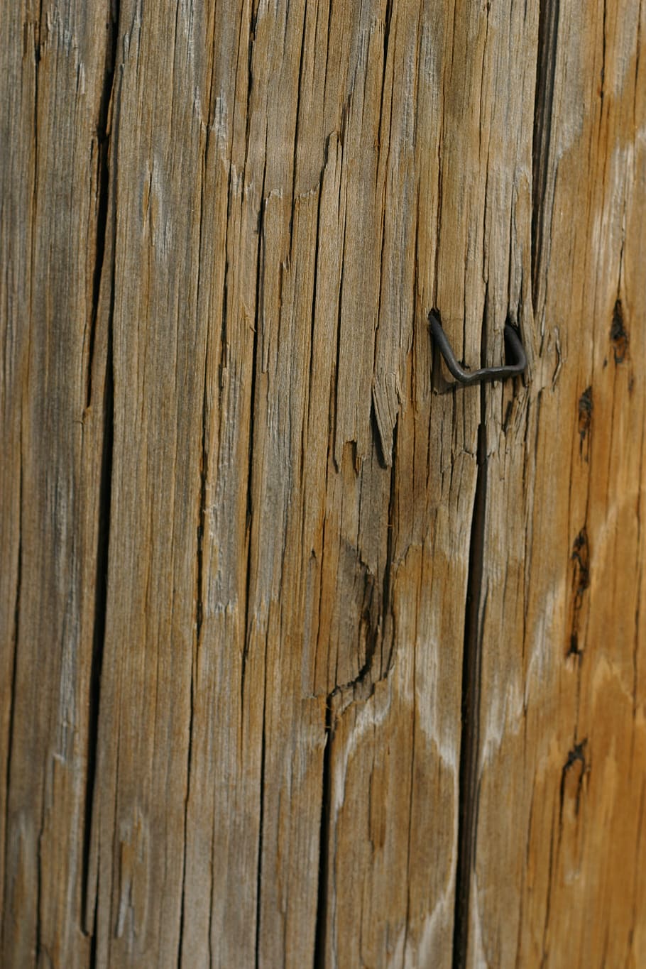 wood, texture, telephone pole, wood - material, textured, full frame HD wallpaper