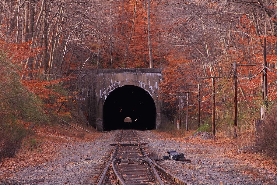 train rail surrounded by orange and green leafed trees, tunnel