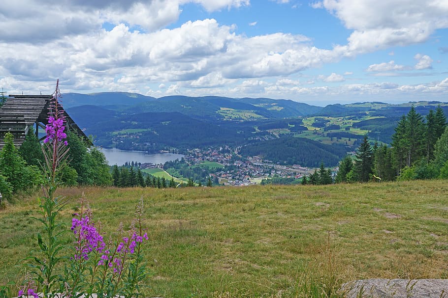 hochfirst, titisee, landscape, plant, sky, mountain, cloud - sky HD wallpaper
