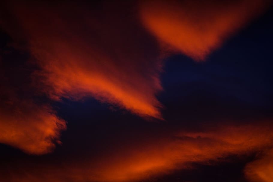 sunset, clouds, sky, orange, nature, sunset sun, forms, bird HD wallpaper