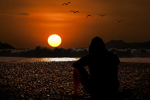 sunset photo, evening sky, beach, background, desktop background HD wallpaper