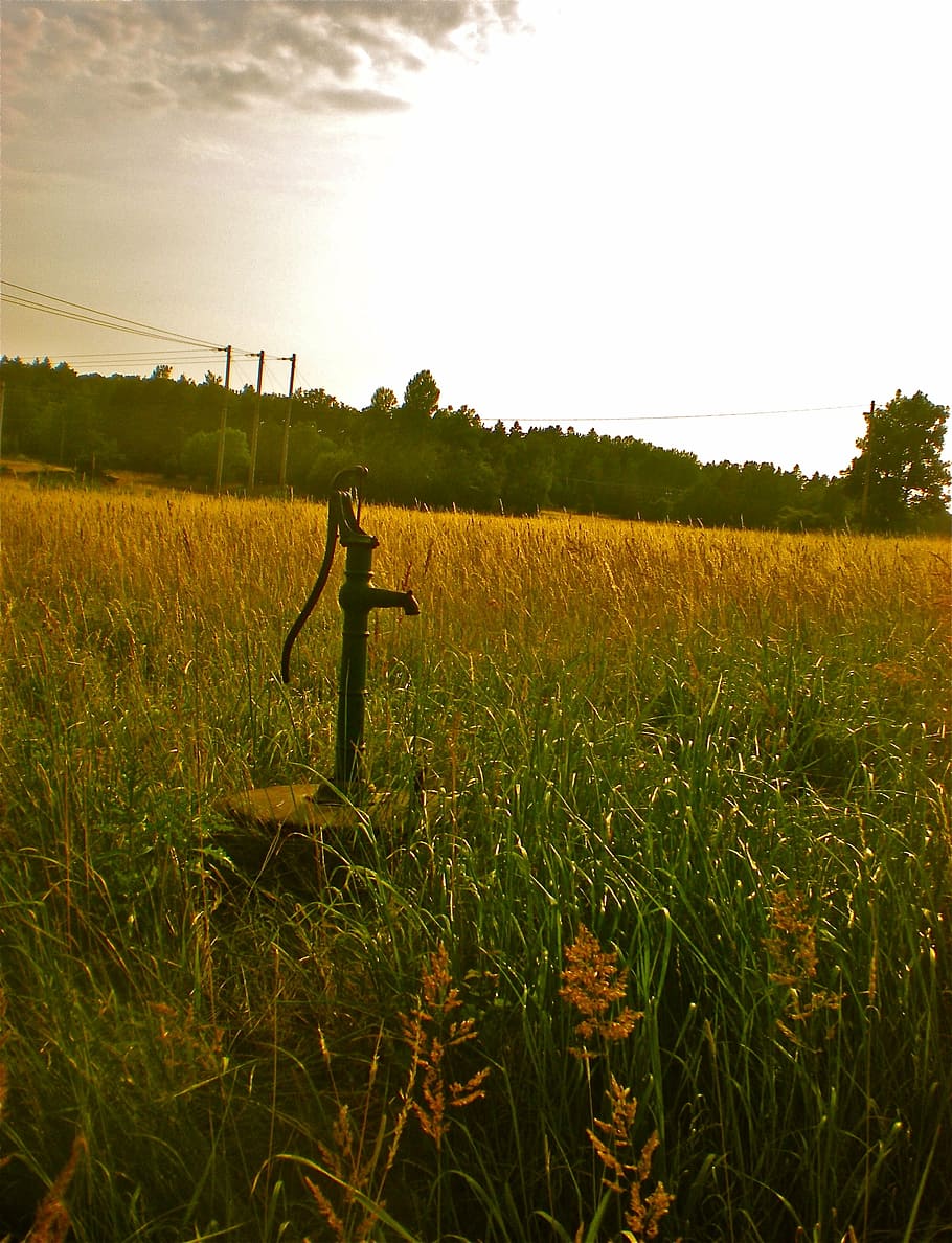 field, grass, well, summer, land, sky, plant, landscape, growth HD wallpaper