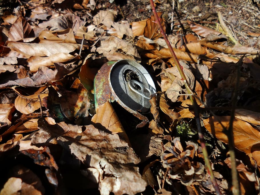 box, forest, leaves, stainless, rusty, metal, environment, garbage HD wallpaper