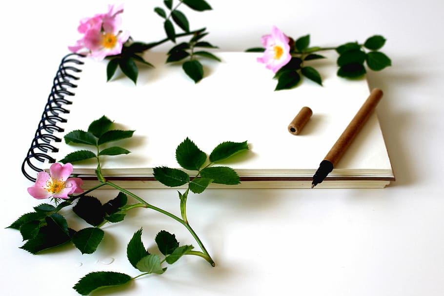 white sketch book with three pink petaled flowers on top, notebook HD wallpaper