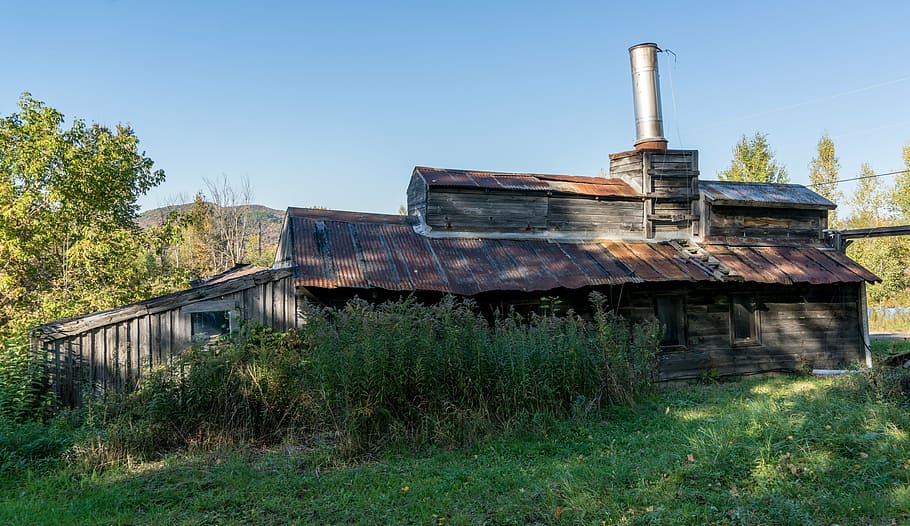 sugar shack, rural, maple sugar, tree, country, countryside, HD wallpaper