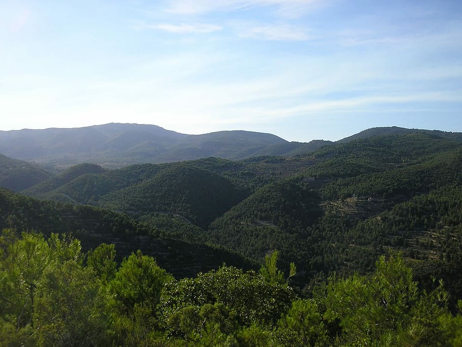 Mountain, Landscape, Tree, nature, scenics, forest, outdoors HD wallpaper