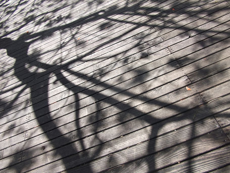 portugal, tree, park, pattern, shadow, backgrounds, sunlight HD wallpaper
