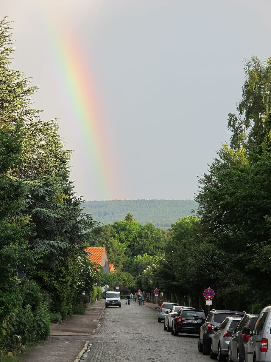 rainbow, germany, road, tree, plant, transportation, mode of transportation HD wallpaper