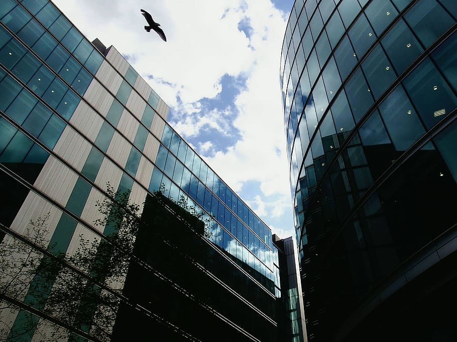 sky, bird, skyscraper, dahl, flight, new time, architecture HD wallpaper