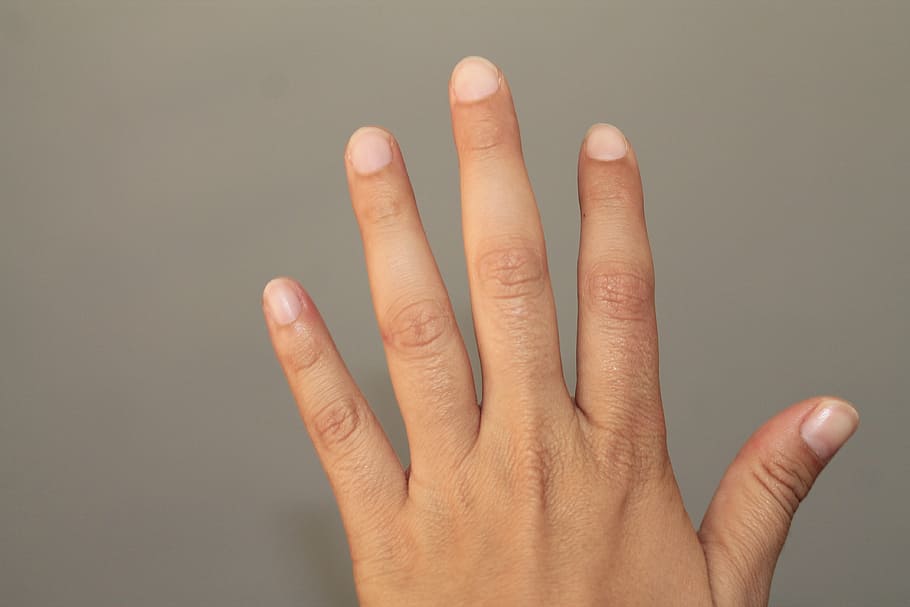 hand, detail, break, human hand, human body part, studio shot HD wallpaper
