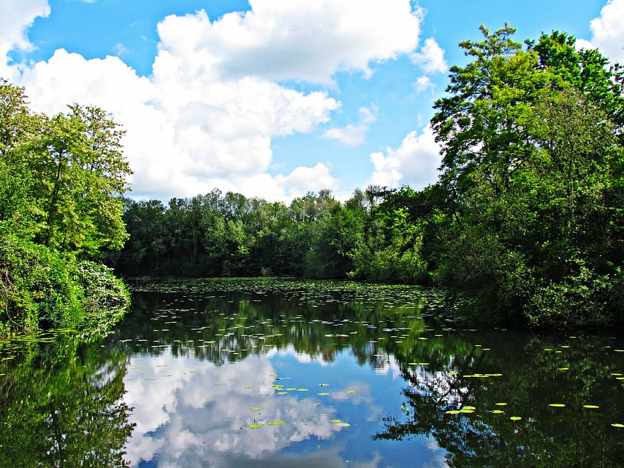Pond, Nature, Green, Tree, Landscape, lake, rates, reflection HD wallpaper