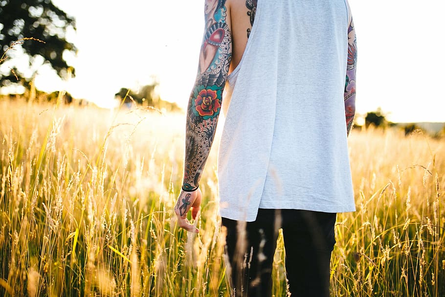 golden hour photography of man walking through grass field HD wallpaper