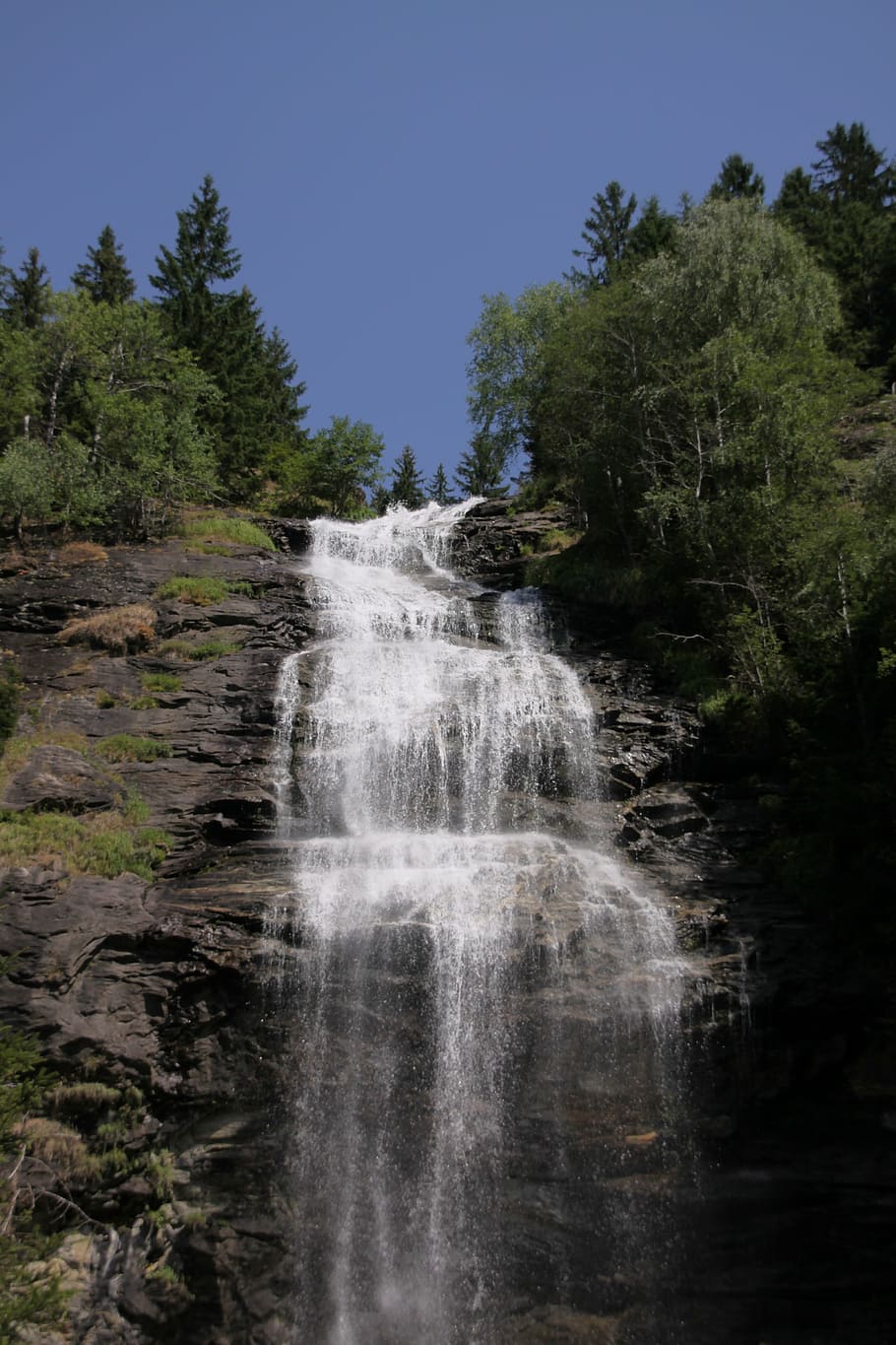 waterfall, waters, nature, forest, river, tree, landscape, plant HD wallpaper