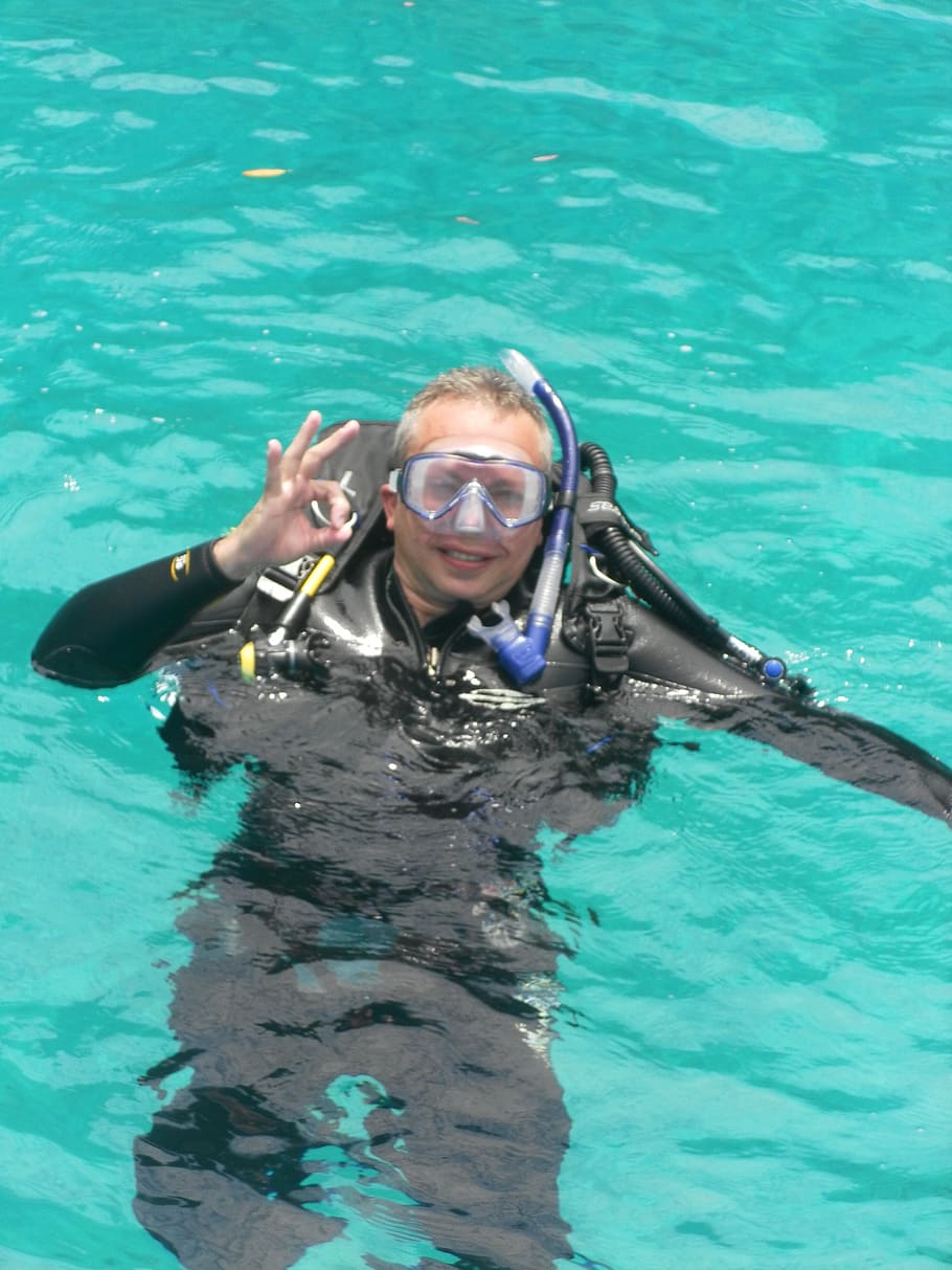 diving, mar, water, diver, underwater, sea, scuba diving, aquatic sport HD wallpaper