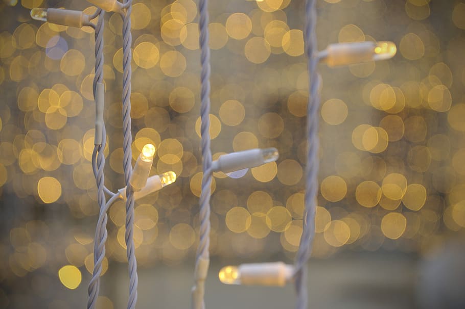 selective focus photo of white string lights, selective focus photo of white string lights with bokeh lights background HD wallpaper