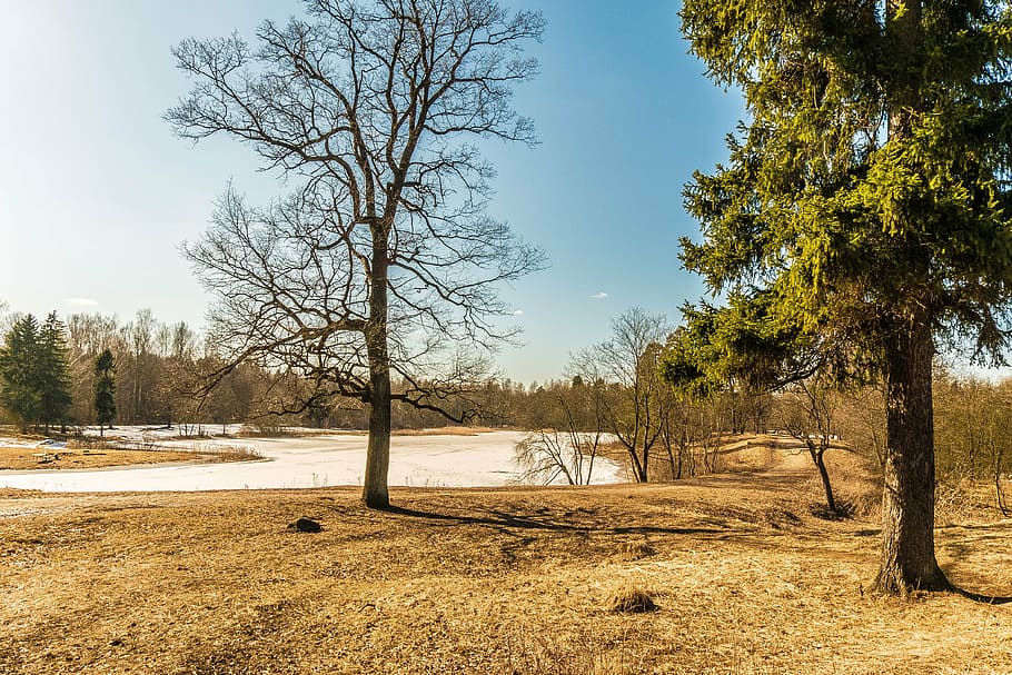 spring, gatchina, beauty, nature, landscape, russia, beautiful HD wallpaper