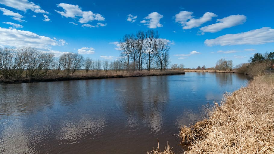 Oste, River, Lower Saxony, Germany, nature, green, north, water HD wallpaper
