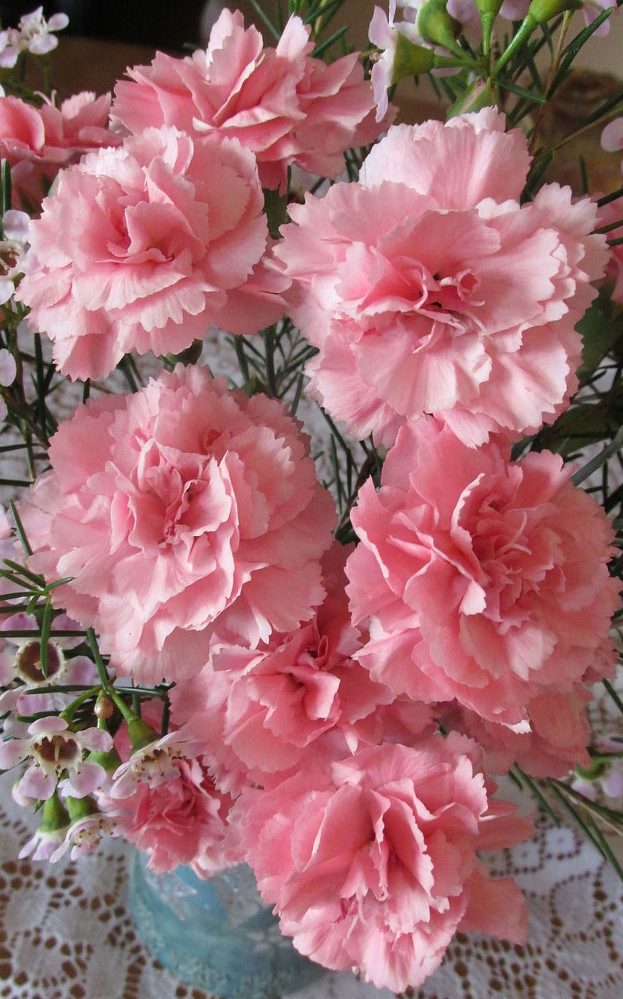 pink flowers, carnations, perfume, plant, pink color, flowering plant HD wallpaper