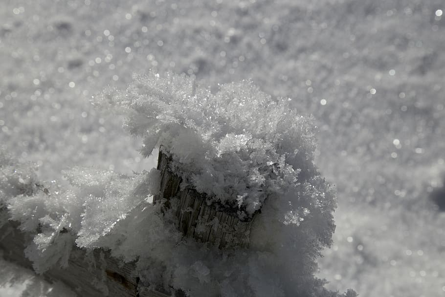 winter, sparkle, crystals, snow, cold - Temperature, nature HD wallpaper