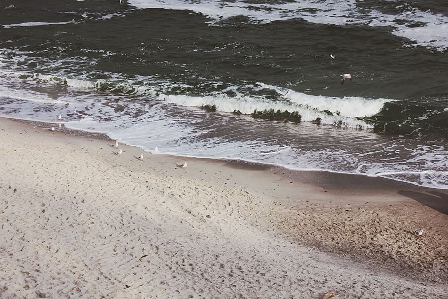 landscape photo of ocean and white seashore, time lapse photography of sea waves HD wallpaper