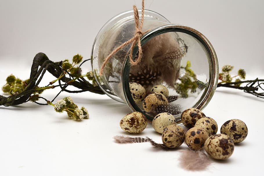 clear glass jar with quail eggs, easter decoration, happy easter HD wallpaper