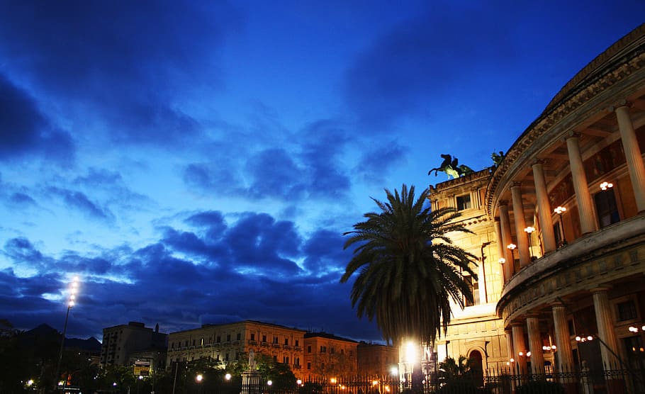 tree near buildings during golden hour, Palermo, Piazza, Sunset HD wallpaper