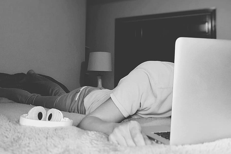 Study, Internet, Laptop, Bed, one person, lying down, indoors HD wallpaper