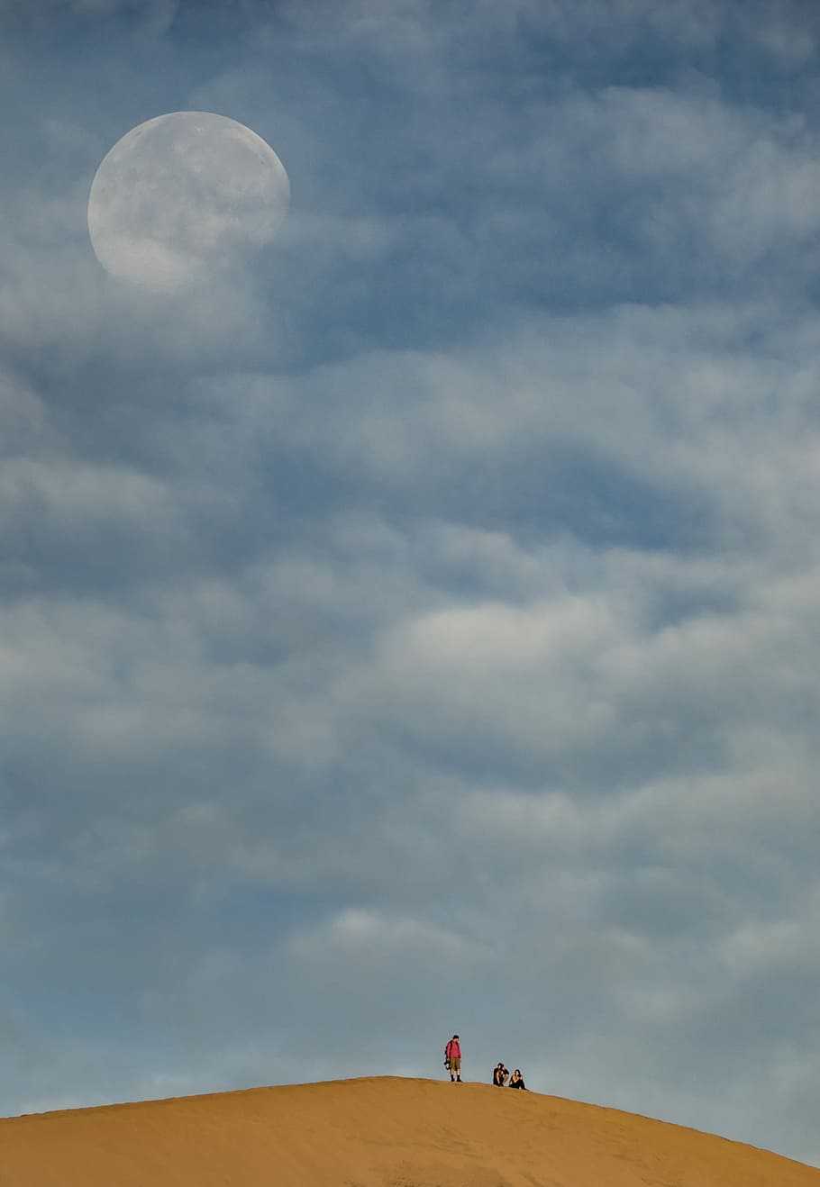 people on desert, group of person on desert, sky, moon, blue HD wallpaper