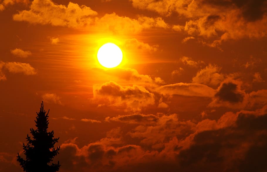 Sunset, Clouds, cloud - sky, tree, dramatic sky, scenics, beauty in nature HD wallpaper