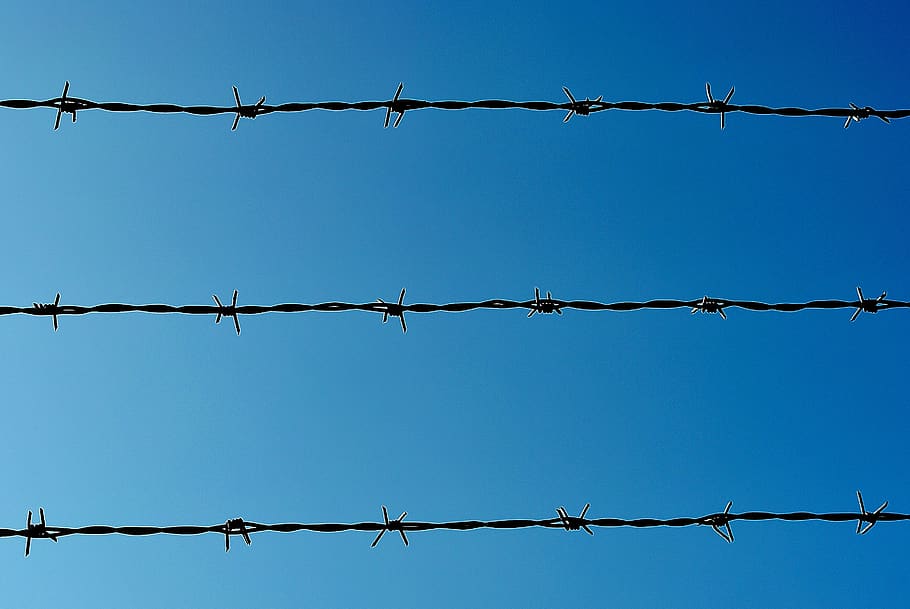 barbed wire, border, barrier, demarcation, protection, safety HD wallpaper