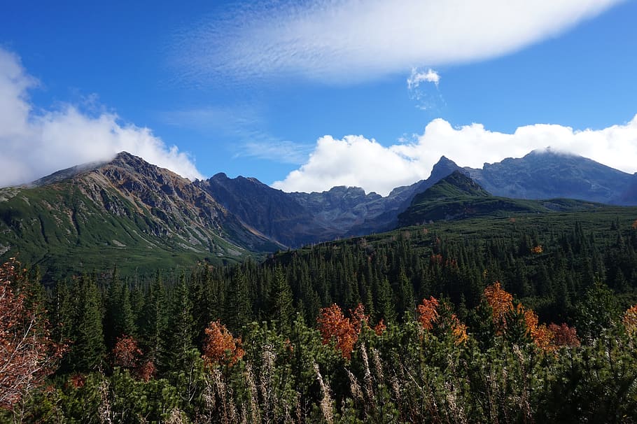 mountains, view, landscape, nature, tatry, trail, sky, the sun HD wallpaper