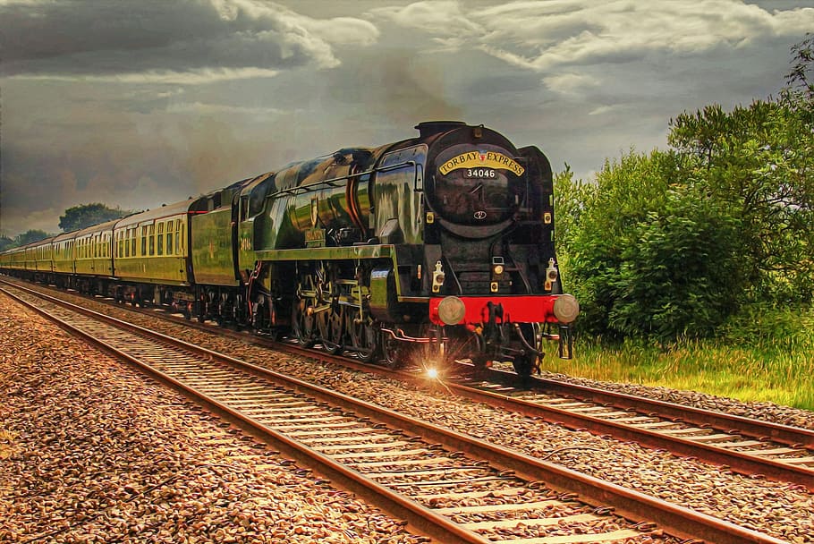 black and red train on rail near plants, steam, steam machine HD wallpaper