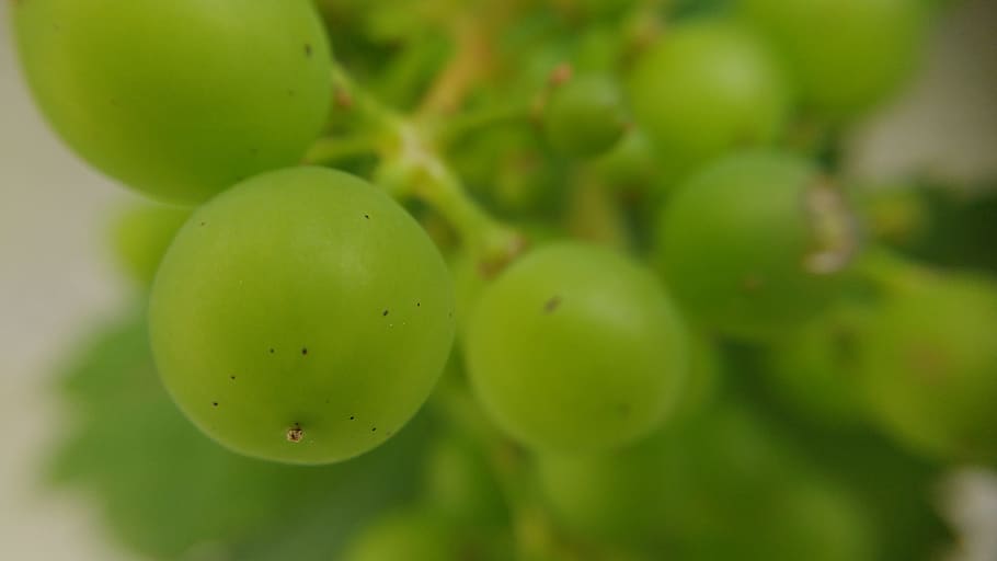 grape, macro, green, fruit, food, green grape, healthy eating HD wallpaper
