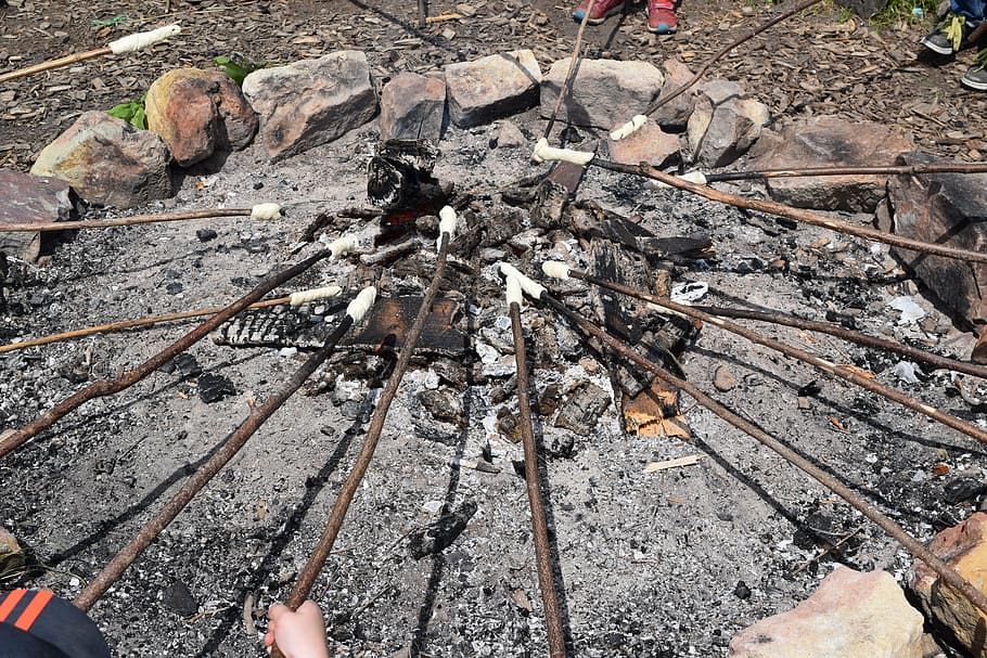 campfire, floor, sticks, stick bread, high angle view, nature HD wallpaper