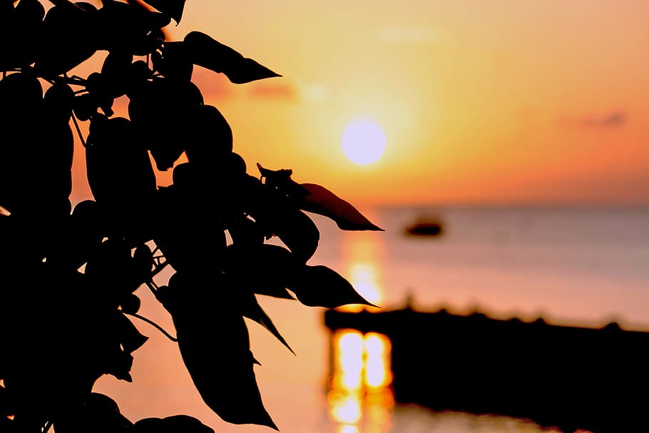 sunset, shadow, dock, sky, silhouette, water, orange color HD wallpaper