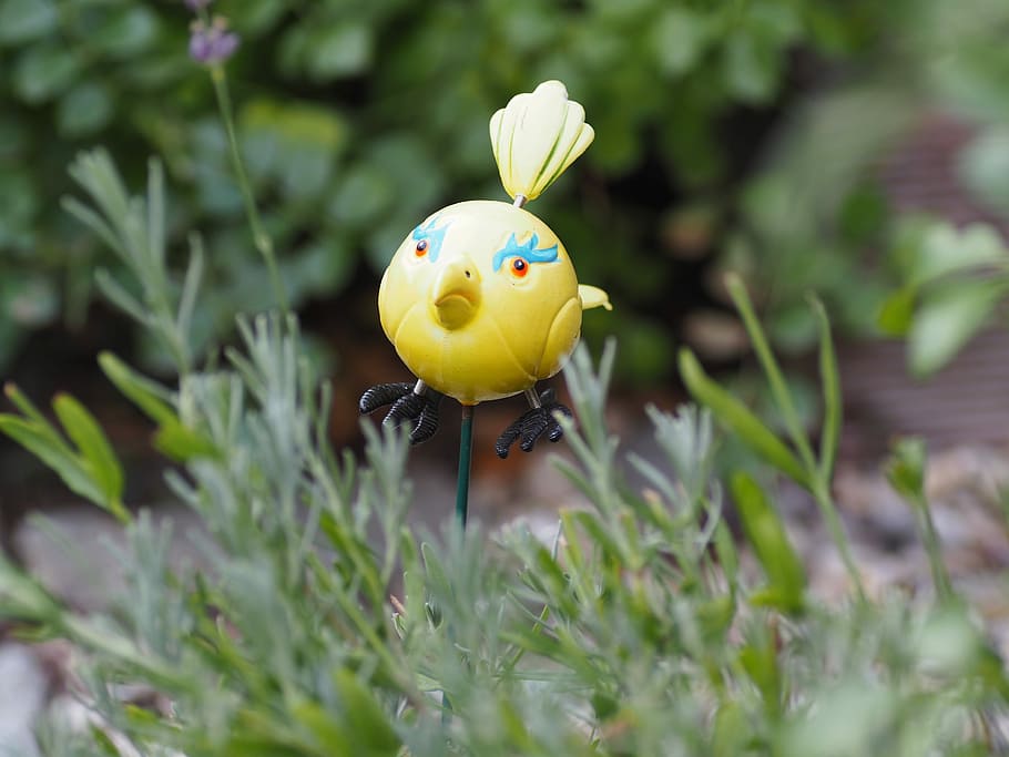 deco, plant, sun, bird, decoration, flowers, close, garden HD wallpaper