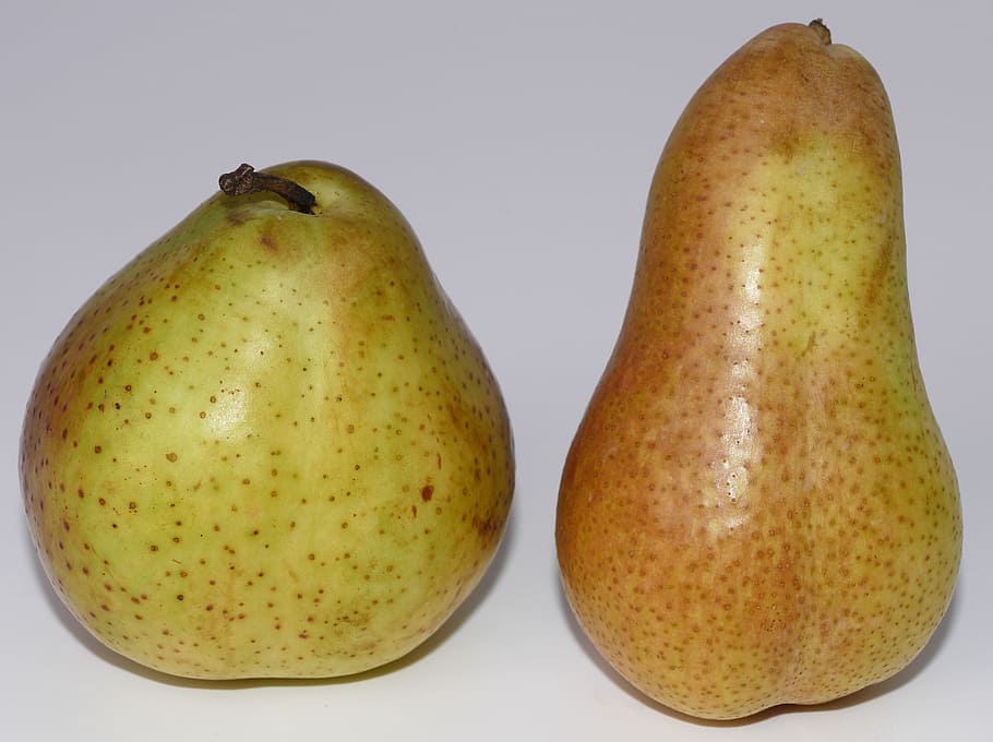 pears, fruit, pome fruit, round, length, fruit growing, garden HD wallpaper